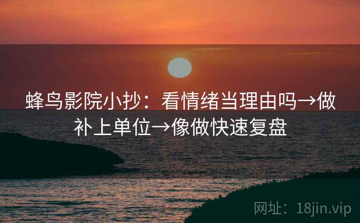 蜂鸟影院小抄：看情绪当理由吗→做补上单位→像做快速复盘