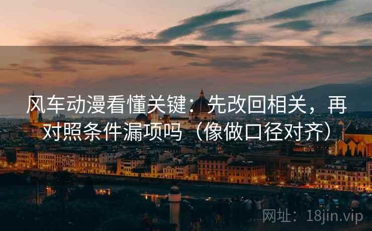 风车动漫看懂关键：先改回相关，再对照条件漏项吗（像做口径对齐）